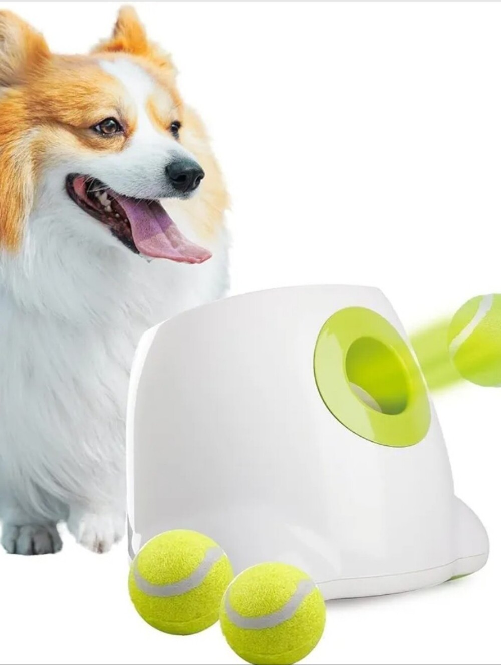 AFP All For Paws Interactive Mini Ball Launcher - White and Green - Picture 2 of 6